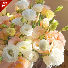 �����������ֱ�l���r��۹���đ���滨��������l�҃�ˮ�B�r��