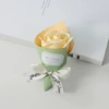 Tubular [Large] Bouquet—Rose Champagne