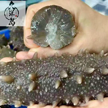 �����S�����l���B�����|�̅��Ǻ�����؛�ŵ��ڸм�ʳ����500gֱ�I