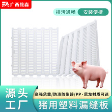 工厂定制漏粪板 畜牧养殖场漏粪板仔猪保育漏缝床塑料漏粪板批发