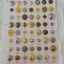 5-�߼���Ӣ���L���ټ~����ĸ���ͺ����p�{ë�ش������׻ʹ��o���