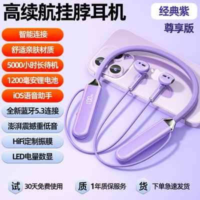2025 new model Bluetooth earphones, Motorcycle Helmet Headset - purpleexclusive-editionbluetooth-53-5000-hours-of-standby10000-yuan-worth-of-sound-effects-standard