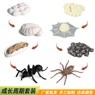 ��ͯ����ɳ�P�̾߷������x����Λρ֩�����b�J֪��߳��L����ģ��