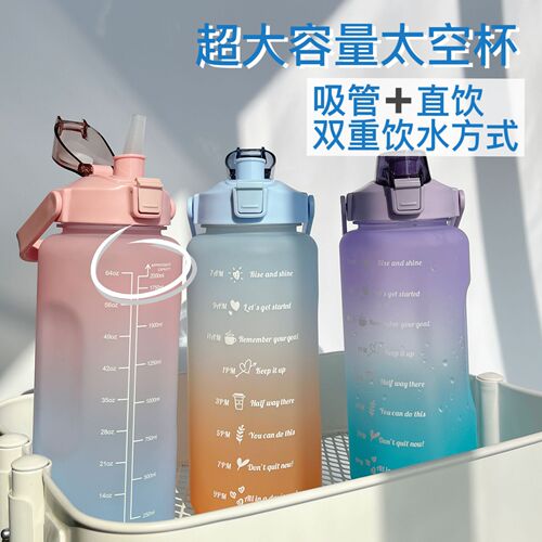 Sports water bottle for women, summer large capacity straw plastic cup portable high-end large sanding PC space cup wholesale