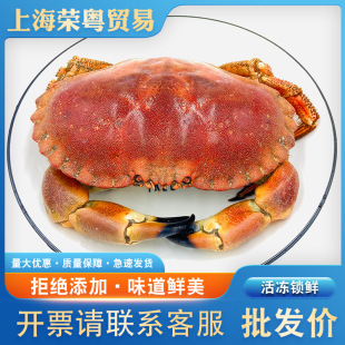 Ӣ�����з��������S��з �۠��m�S��з���rˮ�a���|�S�M��з