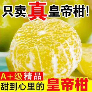 ���ڵc�ʵ۸�ؕ�̱�Ƥ���r�Fժ�۽�ˮ�����������������ӽ���