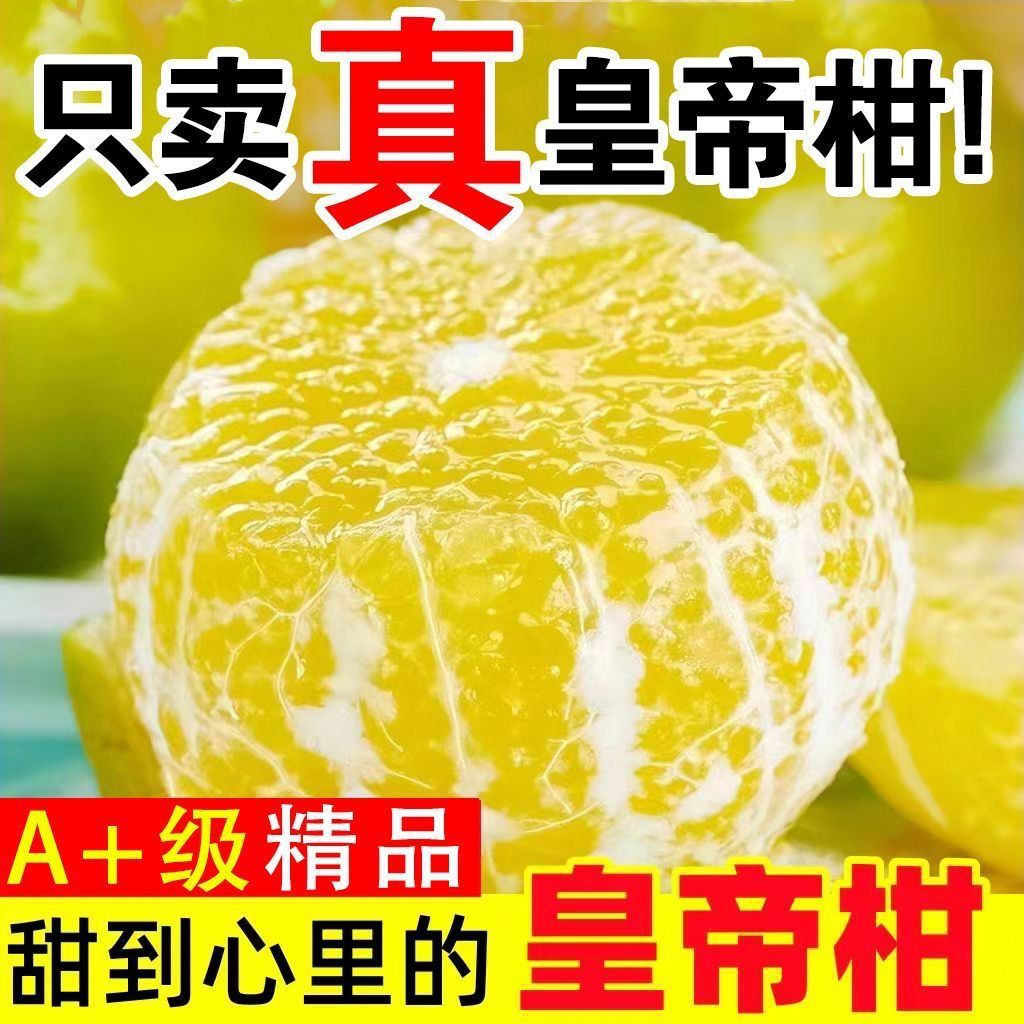 正宗德庆皇帝柑贡柑薄皮新鲜现摘蜜桔水果当季柑橘整箱橘子桔子