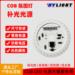 Customized Cob Light Source Rgbcw Remote Control Flowing Water Chasing Light Color Changing Cob Atmosphere Light Panel Symphony Ic Cob Led