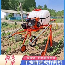 ַʽșC r׵؇șC rø߉FșC