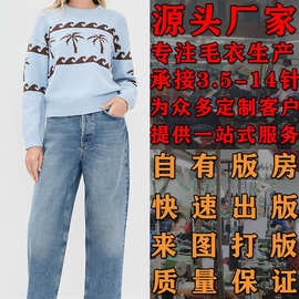 亚马逊同款修身提花撞色女式针织衫看图打版毛衣加工定制大朗毛织