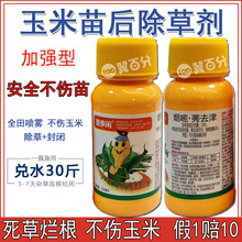 批发玉米地除草专用剂玉米苗后除草剂硝磺莠去津农药护苗除草玉米