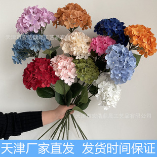 �¿���滨��֦���� ��c��Y���b�·�����߻��Ŵ�׽��� ���Q