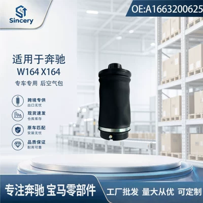 Suspension and Shock Absorber Systems rear air suspension, shock absorber