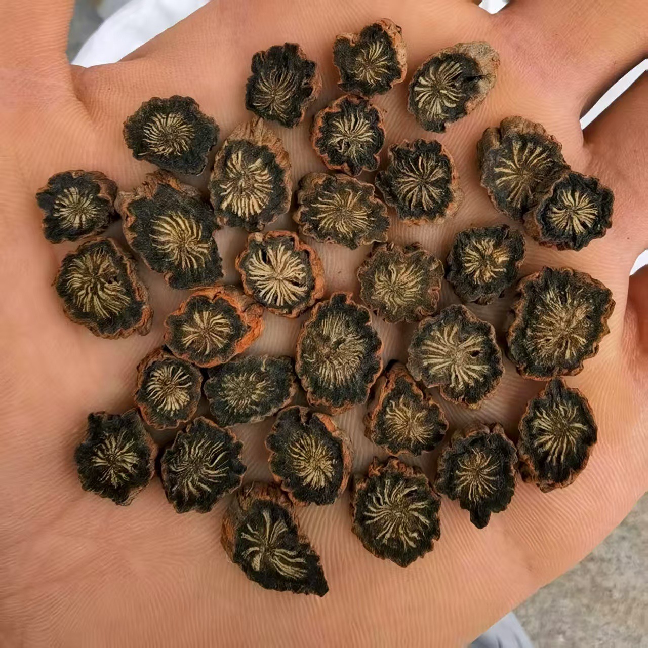 Dan Shen Slices (Salvia miltiorrhiza) — Shandong Sun-Dried Purple Red Sage Root, No Sulfur specifications
