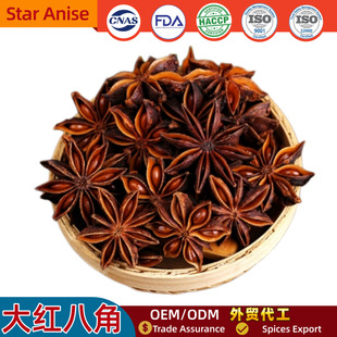 �V����t�˽Ǵ�������ϸ�؛�ؔ��˽ǻ�偵��������{ζ�ϬF؛���l
