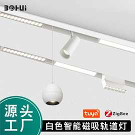 白色磁吸轨道灯嵌入式led射灯明装涂鸦智能磁吸灯无主灯客厅照明