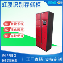 智能虹膜更衣柜厂家虹膜识别系统矿用子直发储物跨境专供储物柜