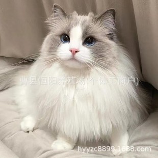 ���N��ż��؈���wِ����ɽ�p��ż؈���̻����{�p��ż؈��Ů؈���w