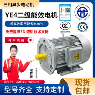 YE4������Ч���ஐ��늄әC2�O��ʽ��ʽ380V���~����5.5/7.5/11KW