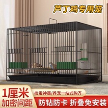 芦丁鸡专用笼加密雏鸡笼室内家用大号鹌鹑笼柯尔鸭笼小黄鸭笼包邮