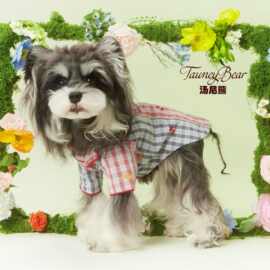 汤尼熊狗狗衣服春夏雪纳瑞泰迪比熊红蓝撞色翻领刺绣图案两脚衬衫
