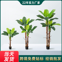 �羳TEMU����Ž���߼��мپGֲ�����҃ȿ͏d���͟Ꭷ�㽶���쾰