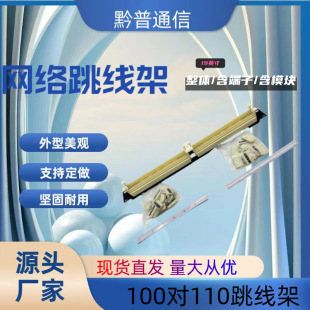 100 Pairs of 110 Telephone Wiring Racks, Telephone Line Patch Cords, Voice Wiring Modules, Wiring Racks, Cabinets