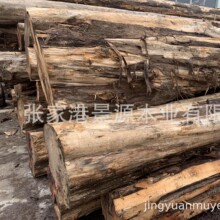棺材料 黄香柏木 柏木 桧木 黄香柏 黄香柏 红香柏木原木 红心柏