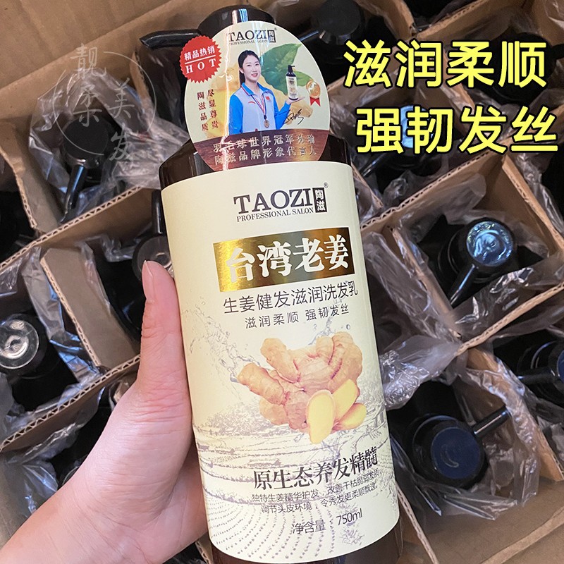 Genuino Tao Zi Taiwán jengibre champú de control de aceite para el cabello saludable sin aceite de silicona jengibre natural para prevenir la pérdida de la caspa