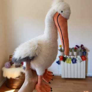 �r�Y��ë�q��ż����ͶY�ļ���Ʒ