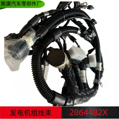 Cummins Diesel Engine Generator Set Wiring Harness Qsm11 Engine Wire Harness 4925801 2864482X (Power supply, ignition system accessories)