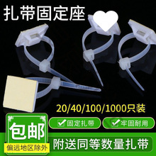 100ֻ�����������N늾��̶�����ᔠ��W���̾������������̶���