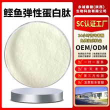 鲣鱼弹性蛋白肽粉95%鲣鱼肽鲣鱼胜肽活性小分子蛋白肽≤500道尔顿