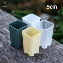 5cmС�׷��������ֲ�����Ϸ�����ظ����粥�N������ʯ�����F��