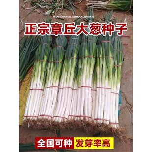 ɽ�|������[�N�ѷNֲ�߲�С���[�N�������[���r�����̨�ЙC��