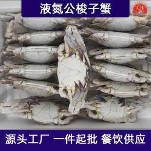 ��ɽҺ���r����S���W����з�ش��з��з������r��з�з���l