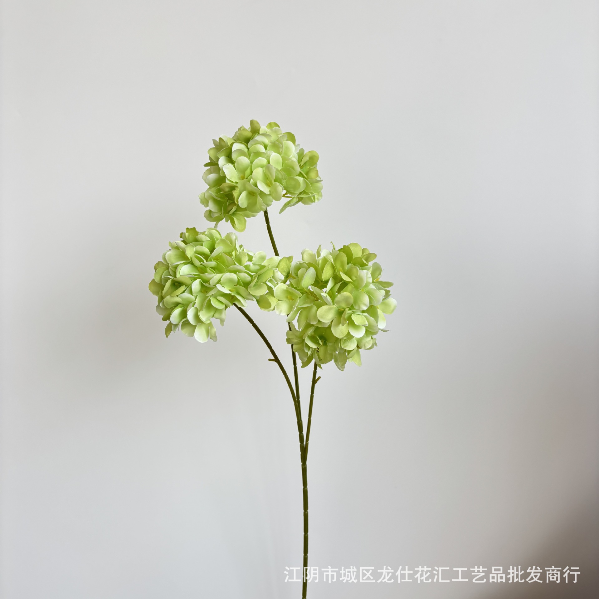 밝은 녹색