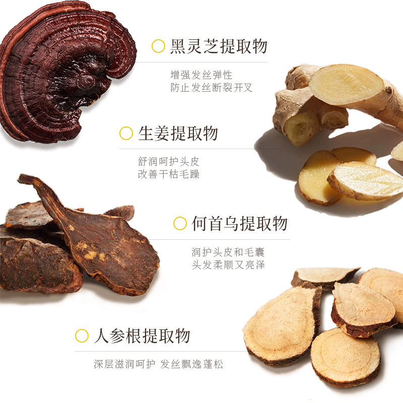 韩伦美羽黑姜洗发水控油蓬松草本植萃洗发膏何首乌黑灵洗发露批发|undefined