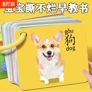 Animal Card Cognition Early Education Children's Literacy Reading Figure Recognition Enlightenment Book Infant Baby Educational Toys Fruit