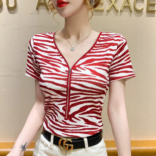 �tɫ���R�y������OӋ��V�I����T��Ů2026�ļ���������¿�����Ů