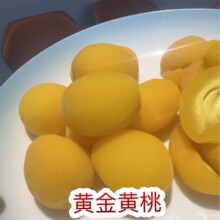 �S���S�� �ؔ�������l�S���S�Ҹ����Ӹ�����������T��������ˮ