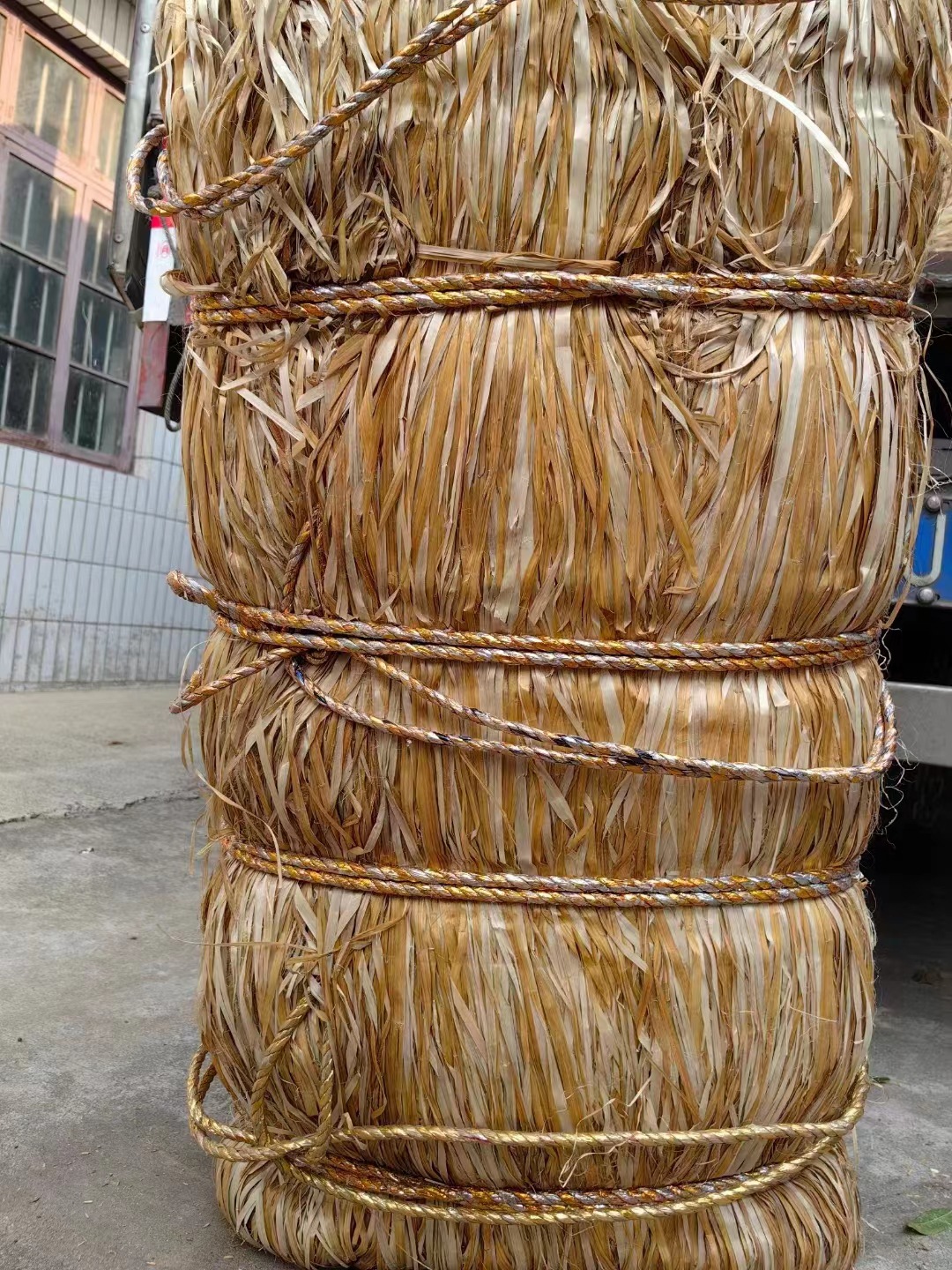 微信图片_20240420101559