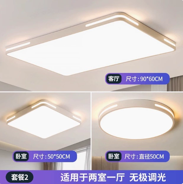 LED rectangular ceiling light, lights for living room for corridor for gazebo