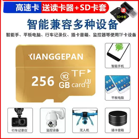 Speedy edition 256gb + card reader [premium gold - universal card for dashcams/security cameras/cameras/phones]
