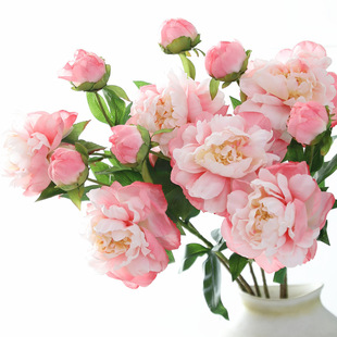 ���滨�����P��ĵ���Ҿ��b�ĵ������c���øߙn�Ҿ�ֱ���g��ˇ