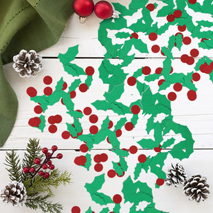 �}�Q��������мѩ�������b���Ƭ�}�Q�Y���ǹ���DIY�b����