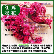 �t�u�ڻ������u�ڻ��ɻ��u�ڻ�ș���Pβ��t���а��u�ڻ���ș��