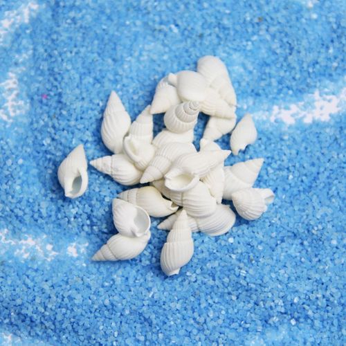 Micro landscape natural conch shell aquarium decoration fish tank bottom decoration corn snail rice snail small conch white