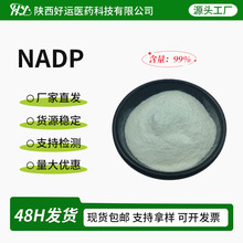 NADP99%氧化型辅酶Ⅱ钠盐 烟酰胺腺嘌呤双核苷酸磷酸盐 现货