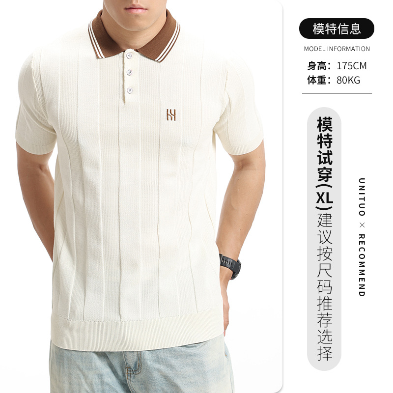 Europa y América transfronterizos de seda de hielo hombre con solapa de punto polo camiseta de verano vieja camiseta de negocios de hombre bordado mangas cortas